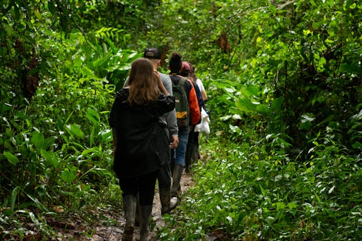 Luxury Eco Lodges in Amazon Rainforest Brazil
