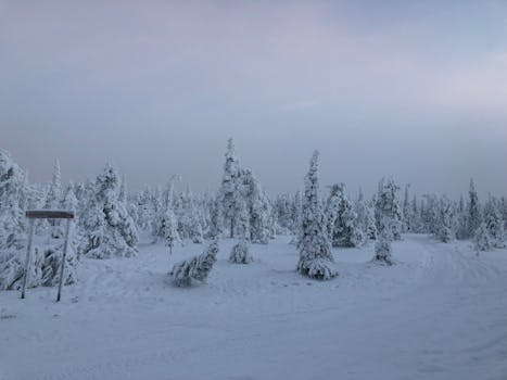 Top Hotels in Rovaniemi Finland